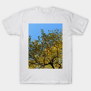 Tulip Tree in the Autumn T-Shirt